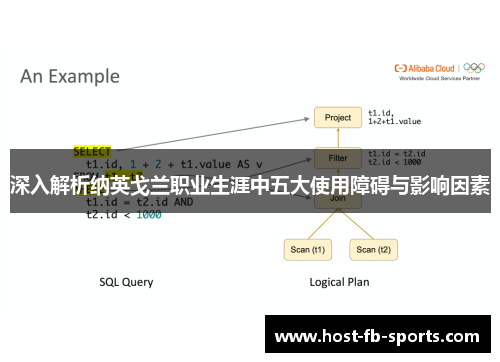 深入解析纳英戈兰职业生涯中五大使用障碍与影响因素