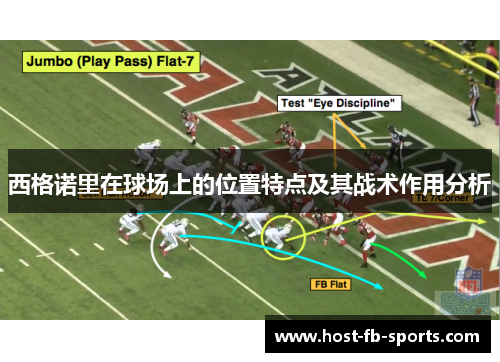 西格诺里在球场上的位置特点及其战术作用分析