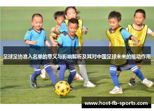 足球足协准入名单的意义与影响解析及其对中国足球未来的推动作用